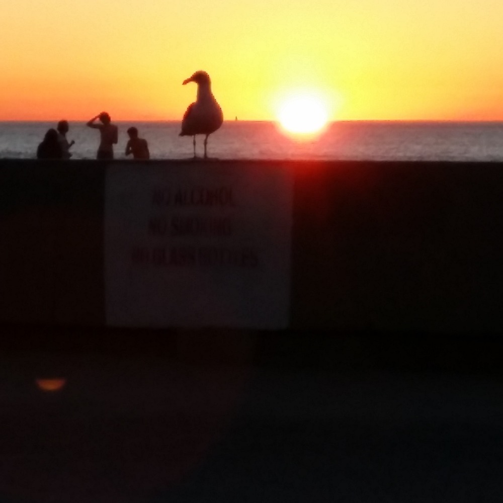 Meet your Posher, Jena